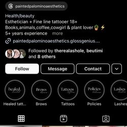 Painted Palomino Aesthetics