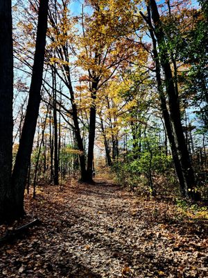 Rouge National Urban Park by null