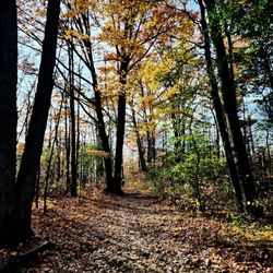 Rouge National Urban Park