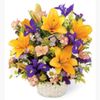 Twigs Flowers & Gifts gift card
