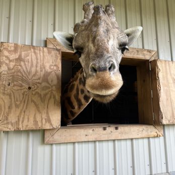 Zootastic Park - Zoos Near Me - Troutman, North Carolina Zootastic Park - Zoos Near Me - Troutman, North Carolina