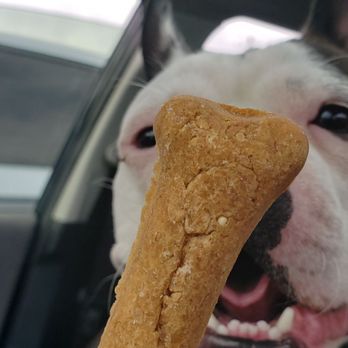 Crestline Bagel Co - House-made Dog Treat 03-08-2025 - Bagels Near Me - Vestavia Hills, Alabama