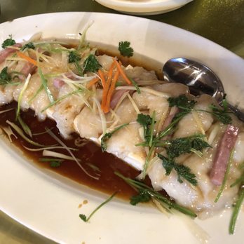 Royal Cuisine - Fish steamed with tofu. Must ordered. - Chinese Near Me - Cupertino, California Royal Cuisine - Fish steamed with tofu. Must ordered. - Chinese Near Me - Cupertino, California