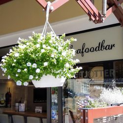 Restaurant De Tjotter - Oesterbar