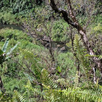 Wailea Horseback Adventure - Horseback Riding Near Me - Hakalau, Hawaii