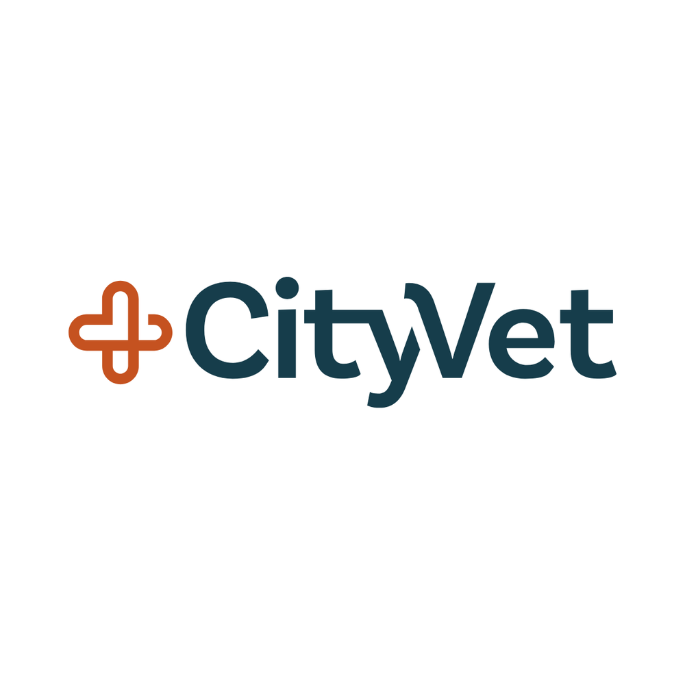 CityVet - Addison - pet boarding facility in Dallas, TX