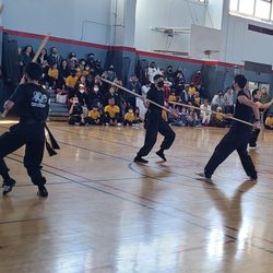 Five Animals Kung Fu Academy