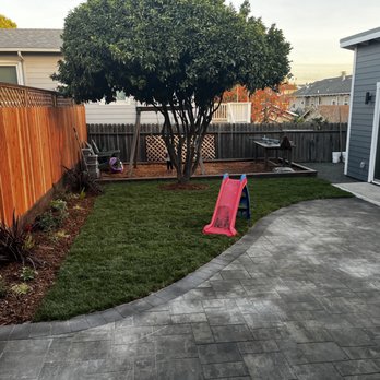 Intuitive Landscape & Construction - New side fence, plants/mulch, sod and pavers. - Landscaping Near Me