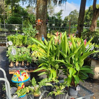 Garden Shack - Today's haul - Nurseries & Gardening Near Me - Jacksonville, Florida Garden Shack - Today's haul - Nurseries & Gardening Near Me - Jacksonville, Florida
