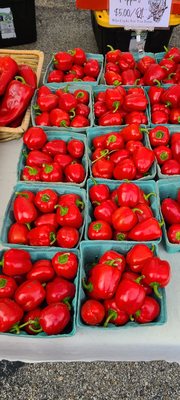 Bloomfield Saturday Market by null
