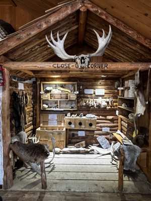 Eagle River Nature Center by null