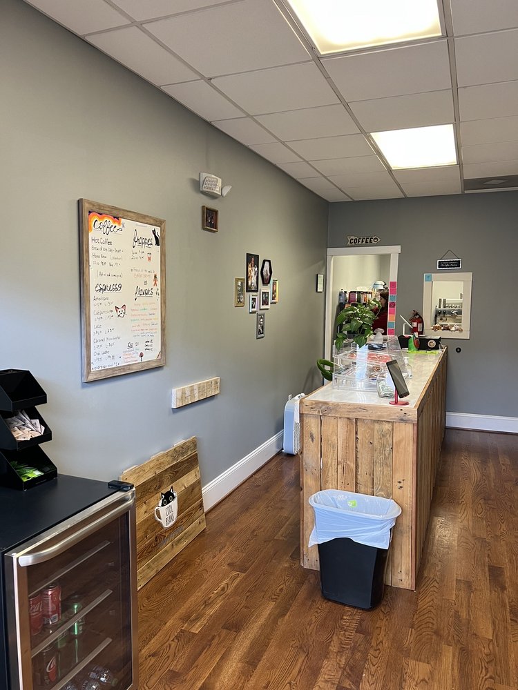 COOL BEANS CAT CAFE Updated October 2024 20 Photos 108 E Main Ave
