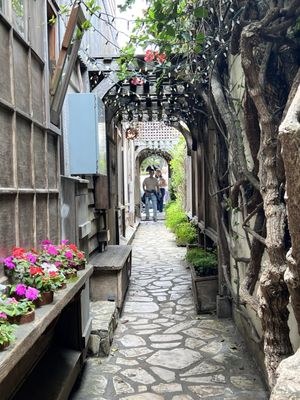 The Xocolatl Garden by null