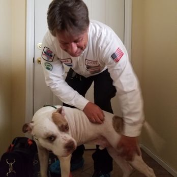 Focus Plumbing - Jim S., journeyman plumber from Focus, getting to know my dog before a plumbing repair. Awesome service and the fix done fast and right! - Plumbing Near Me - Las Vegas, Nevada Focus Plumbing - Jim S., journeyman plumber from Focus, getting to know my dog before a plumbing repair. Awesome service and the fix done fast and right! - Plumbing Near Me - Las Vegas, Nevada