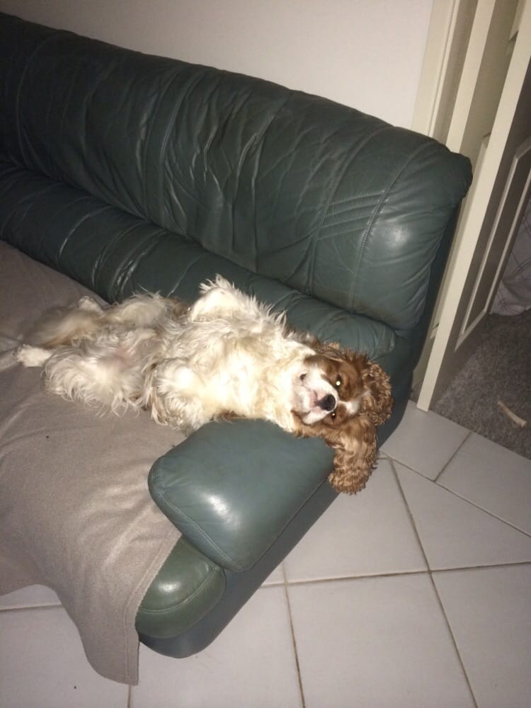 o Jupiter Florida Real Estate For Sale