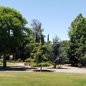 Raynor Park - Beautiful trees and dinosaur knoll - Parks Near Me - Sunnyvale, California Raynor Park - Beautiful trees and dinosaur knoll - Parks Near Me - Sunnyvale, California