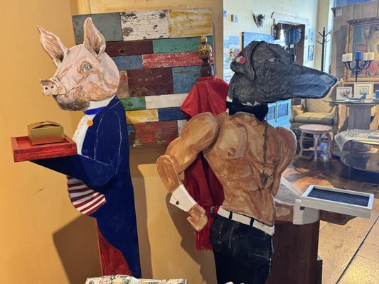 Iguana Import Gallery by null