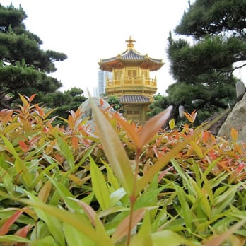 南蓮園池 - Buddhist Temples Near Me - Hong Kong, HK
