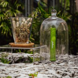 PlantHaus Boutique - Planthaus Perfectly Curated Pre-Rolls : Made only with the Finest Flower in Town