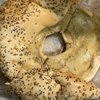 Firehouse Bagels gift card