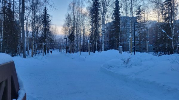 University of Alaska Anchorage by null