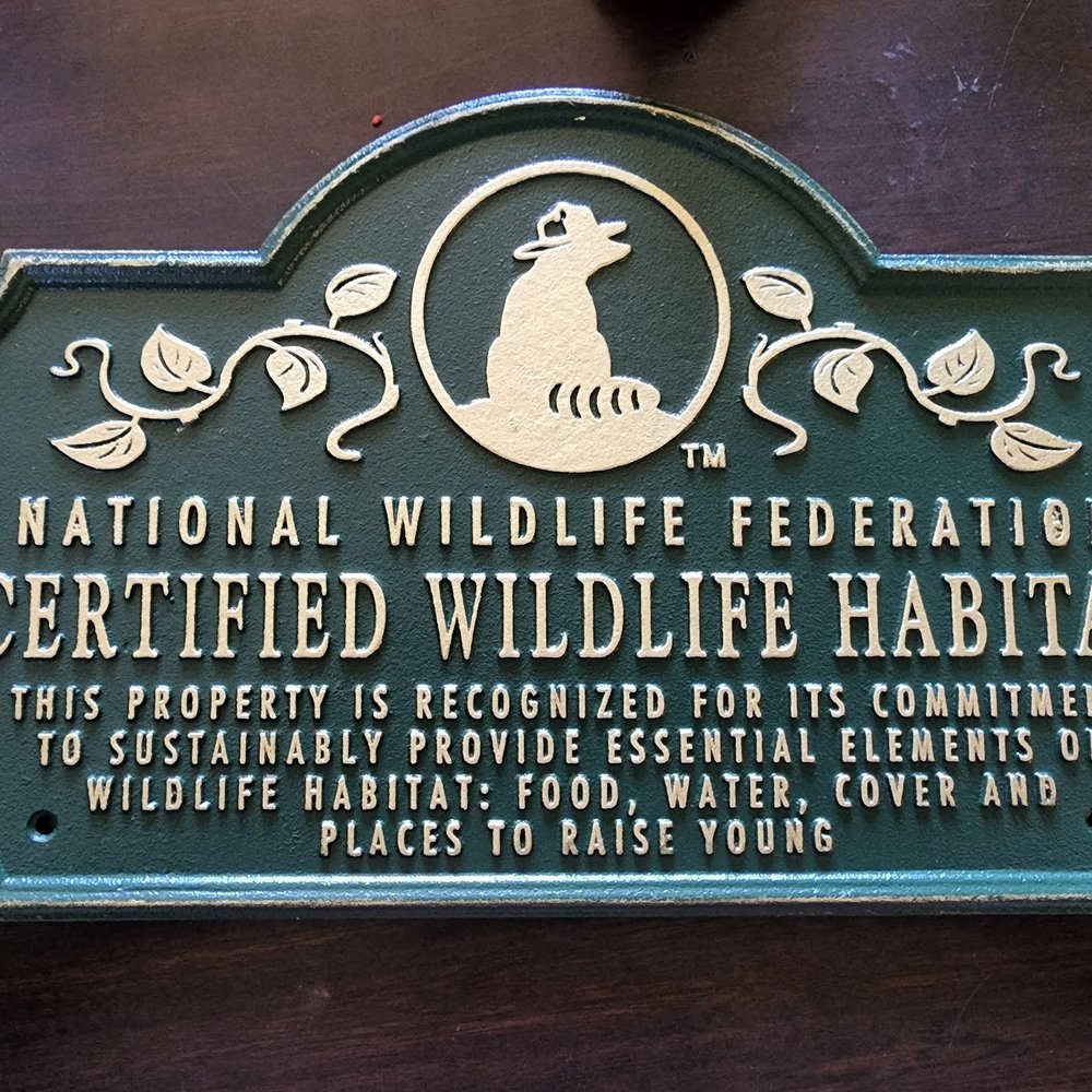 No Kill Shelter Open Today Fairfield, CA - Last Updated January 2026 - Yelp