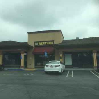 Amazon Reptile Center - Great staff! Amazon Reptile Center: Montclair, Ca. - Reptile Shops Near Me - Montclair, California Amazon Reptile Center - Great staff! Amazon Reptile Center: Montclair, Ca. - Reptile Shops Near Me - Montclair, California
