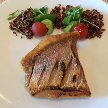 Verde - Caribbean Red Snapper with avocado, red quinoa and cucumber yogurt. - New American Near Me - Miami, Florida Verde - Caribbean Red Snapper with avocado, red quinoa and cucumber yogurt. - New American Near Me - Miami, Florida