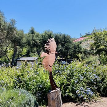 Daily Blooms Lavender Farm - Sculpture of bird - Farms Near Me - Fallbrook, California