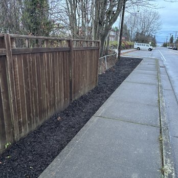 DH Hauling and Demo - AFTER (Mulching) - Demolition Services Near Me DH Hauling and Demo - AFTER (Mulching) - Demolition Services Near Me