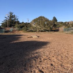 Fort Ord Community Dog Park