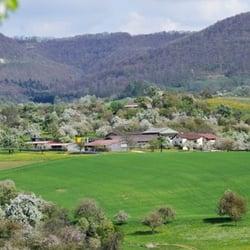 Haldenhof