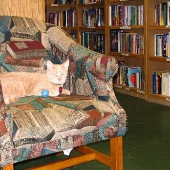 Nine Lives Books - Bookstores Near Me - San Antonio, Texas