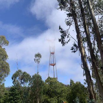 Mount Sutro - Mount Sutro 07.08.23|Sat - Parks Near Me - San Francisco, California