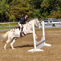 Merkel Farm Equestrian Center