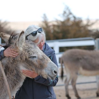 Longhopes Donkey Shelter - Animal Shelters Near Me - Bennett, Colorado Longhopes Donkey Shelter - Animal Shelters Near Me - Bennett, Colorado