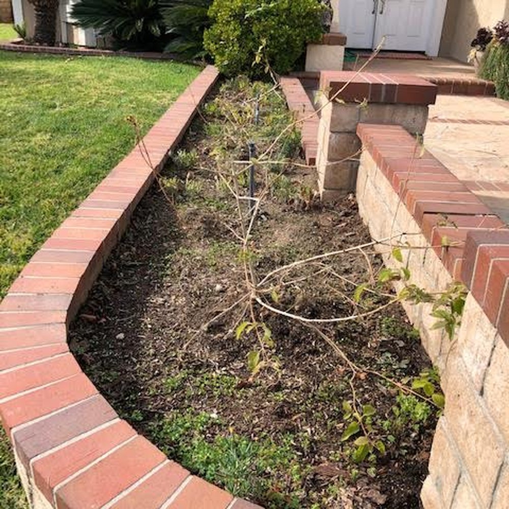 Green Guard Landscape Services - Landscaping Near Me - Rancho Cucamonga, California Green Guard Landscape Services - Landscaping Near Me - Rancho Cucamonga, California