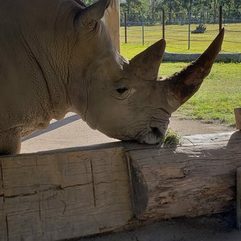 Australia Zoo - Zoos Near Me - Beerwah, QLD