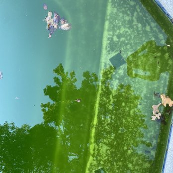 Blue Science Pools - Pool Cleaners Near Me - The Colony, Texas