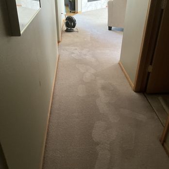 Swan's Carpet Cleaning - Hallway - Carpet Cleaning Near Me - Bellingham, Washington Swan's Carpet Cleaning - Hallway - Carpet Cleaning Near Me - Bellingham, Washington