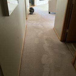 Swan's Carpet Cleaning - Hallway