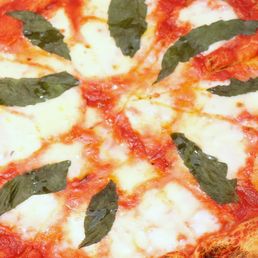 Margherita Pizza Margherita Pizza