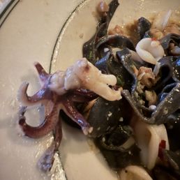 Fresh Calamari!! Fresh Calamari!!
