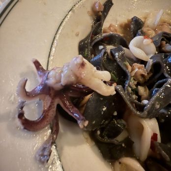 La Pergoletta - Fresh Calamari!! - Italian Near Me - Los Angeles, California La Pergoletta - Fresh Calamari!! - Italian Near Me - Los Angeles, California