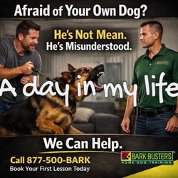 Bark Busters Home Dog Training Southern New England