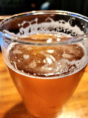 Postdoc Brewing Redmond by null