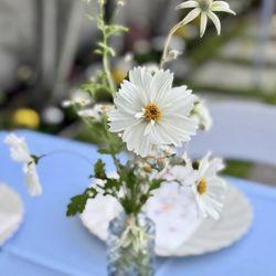 Wenfloral Design Studio - Bud vase arrangement