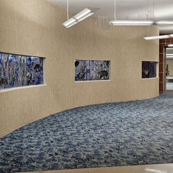 Springfield-Branson National Airport - SGF - Exit to baggage - Airports Near Me - Springfield, Missouri Springfield-Branson National Airport - SGF - Exit to baggage - Airports Near Me - Springfield, Missouri