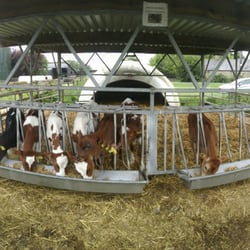 Morwick Dairy Ice Cream