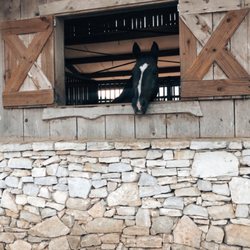 Madrone Ranch Stables